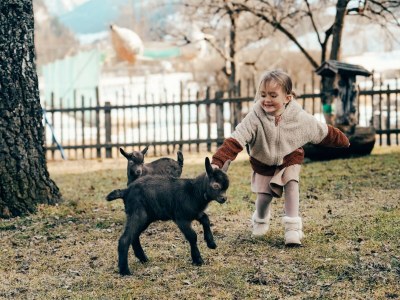 Apartment Naturhof Eibl - Outdoor photo 39