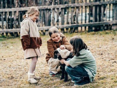 Apartment Naturhof Eibl - Outdoor photo 46