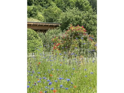 Apartment Ferienwohnung Nr. 14 - Outdoor photo 29