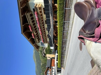 Apartment Ferienwohnung Nr. 14 - Outdoor photo 35