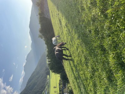 Apartment Ferienwohnung Nr. 14 - Outdoor photo 37