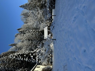 Apartment Ferienwohnung Nr. 14 - Outdoor photo 39