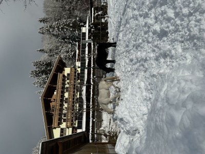 Apartment Ferienwohnung Nr. 14 - Outdoor photo 41
