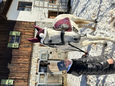 Apartment Ferienwohnung Nr. 14 - Outdoor photo 43