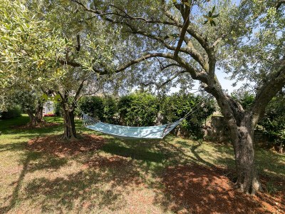 Apartment Apartments Dama - Environment photo 31