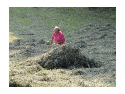 Holiday room Doppelzimmer, Toilette und Bad/Dusche getrennt, - Outdoor photo 9