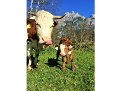 Holiday room Doppelzimmer, Toilette und Bad/Dusche getrennt, - Outdoor photo 11