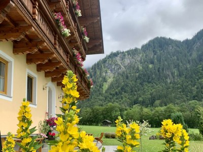 Holiday room Doppelzimmer, Toilette und Bad/Dusche getrennt, - Outdoor photo 35