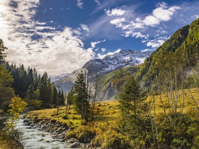 Apartment Ferienhaus, Dusche oder Bad, WC, 4 oder mehr Schla - Features photo 37