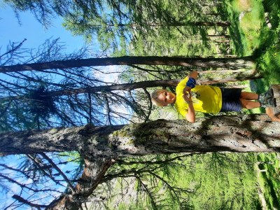 Apartment 2-Schlafzimmer-Appartement + Balkon/Terrasse, Bergblick - Outdoor photo 33