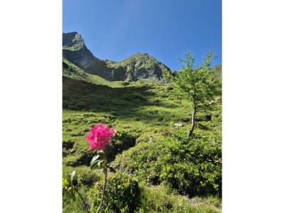 Apartment 2-Schlafzimmer-Appartement + Balkon/Terrasse, Bergblick - Outdoor photo 36