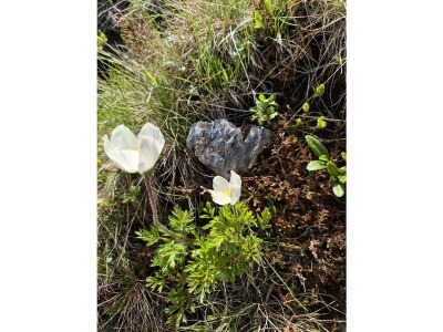 Apartment 2-Schlafzimmer-Appartement + Balkon/Terrasse, Bergblick - Outdoor photo 41