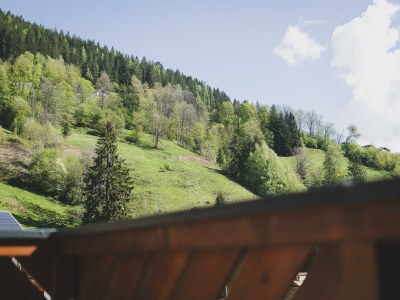 Apartment Ferienhaus mit Sauna & Garten - Outdoor photo 51