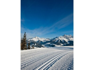 Apartment Fewo A (4-6 Personen/2 SZ, 1 WSR) - Outdoor photo 17