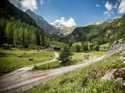 Apartment Fewo A (4-6 Personen/2 SZ, 1 WSR) - Outdoor photo 39