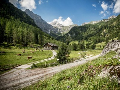 Apartment Himmelreich (2-6 Personen/3SZ) - Outdoor photo 6