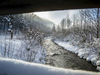 Apartment Himmelreich (2-6 Personen/3SZ) - Outdoor photo 19