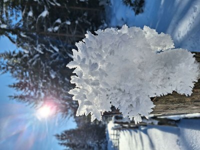 Apartment Berg Lodge - Outdoor photo 11