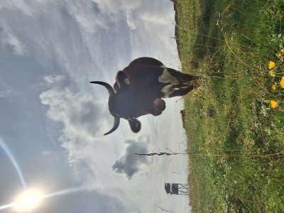 Apartment Berg Lodge - Outdoor photo 22