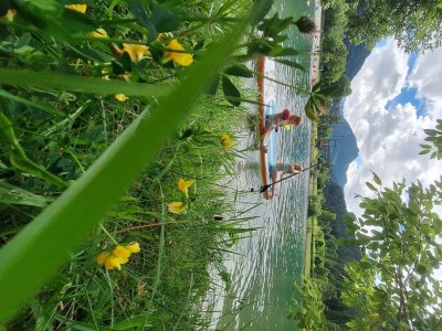 Apartment Berg Lodge - Outdoor photo 26