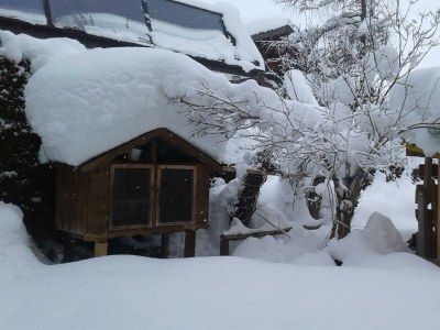 Apartment Fewo B (2-5 Personen/2 SZ, 1 WSR) - Outdoor photo 13