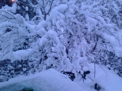 Apartment Fewo B (2-5 Personen/2 SZ, 1 WSR) - Outdoor photo 15