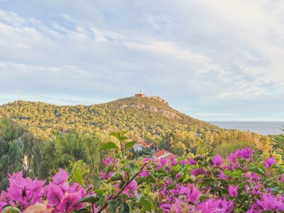 Apartment Le Petit Bleu - Environment photo 17