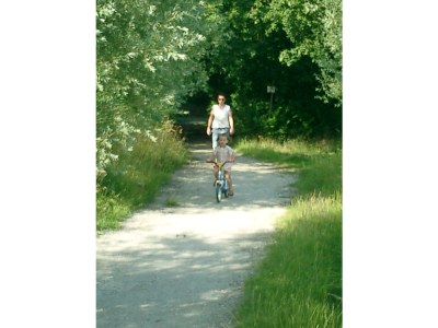 Holiday house Haus Parel - Environment photo 20