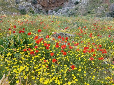 Holiday house with sea view in Keratokampos - Environment photo 25