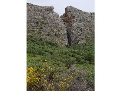 Holiday house with sea view in Keratokampos - Environment photo 26
