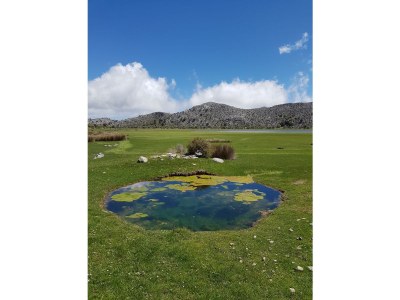 Holiday house with sea view in Keratokampos - Environment photo 31