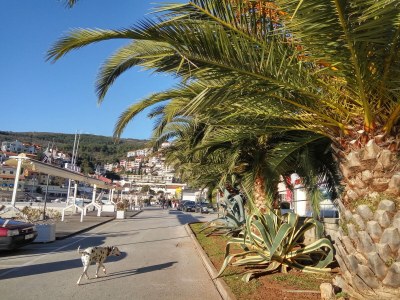 Holiday house Villa MI - Environment photo 33