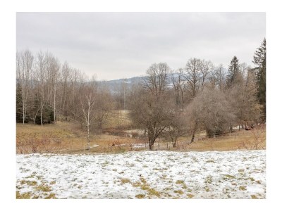 Chalet Naturstammhaus - Outdoor photo 22