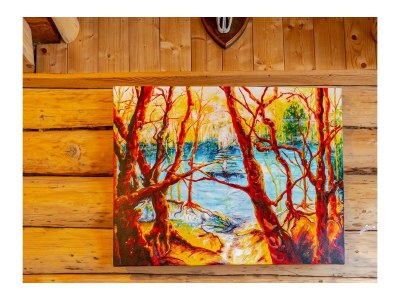 Chalet Naturstammhaus - Features photo 78