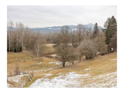 Chalet Naturstammhaus - Environment photo 100