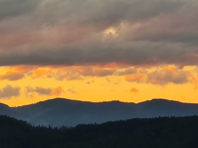 Chalet Naturstammhaus - Environment photo 102