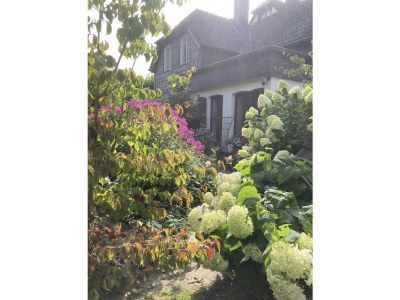 Holiday house Alte Remise - Outdoor photo 24