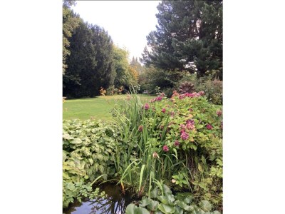 Holiday house Alte Remise - Outdoor photo 28