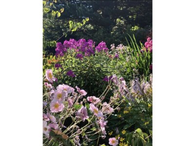 Holiday house Alte Remise - Outdoor photo 29