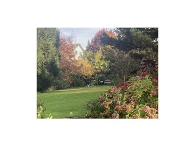 Holiday house Alte Remise - Features photo 38