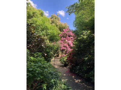 Holiday house Alte Remise - Features photo 39