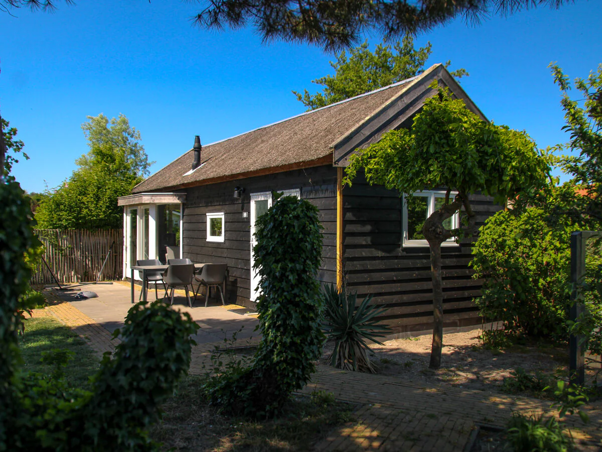 Chalet Chalet Duinpan 4 - Outdoor photo 2