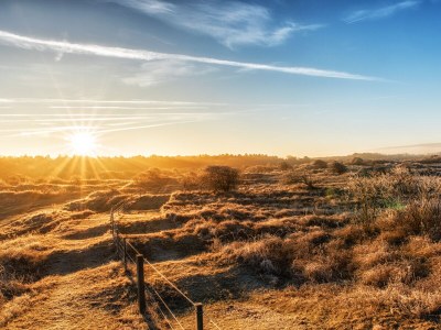 Chalet Chalet Duinpan 4 - Environment photo 23