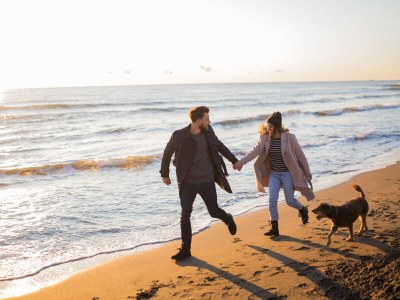 Chalet Chalet Duinpan 4 - Environment photo 27