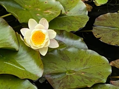 Holiday house Busy You @ Sea - Outdoor photo 6