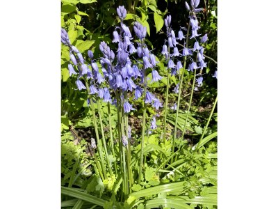 Holiday house Busy You @ Sea - Outdoor photo 7