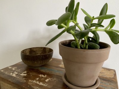 Holiday house Busy You @ Sea - Features photo 10