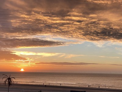 Holiday house Busy You @ Sea - Environment photo 27