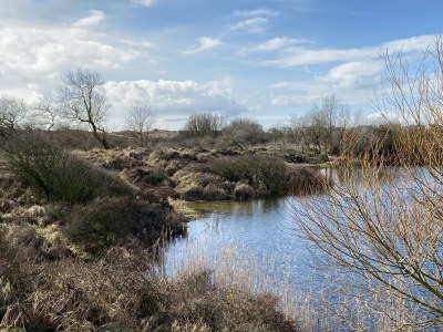 Holiday house Busy You @ Sea - Environment photo 28