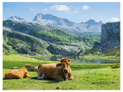 Cottage Casa con Jardín Cantabria - Environment photo 22